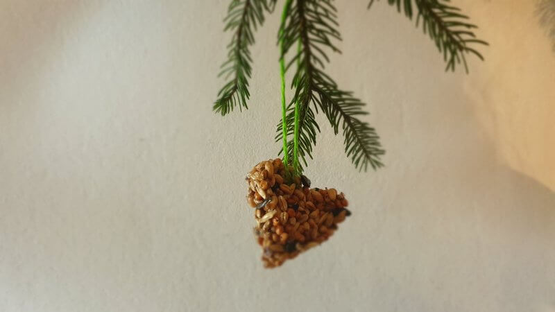 Read more about the article Ustvarjamo piškote za ptice