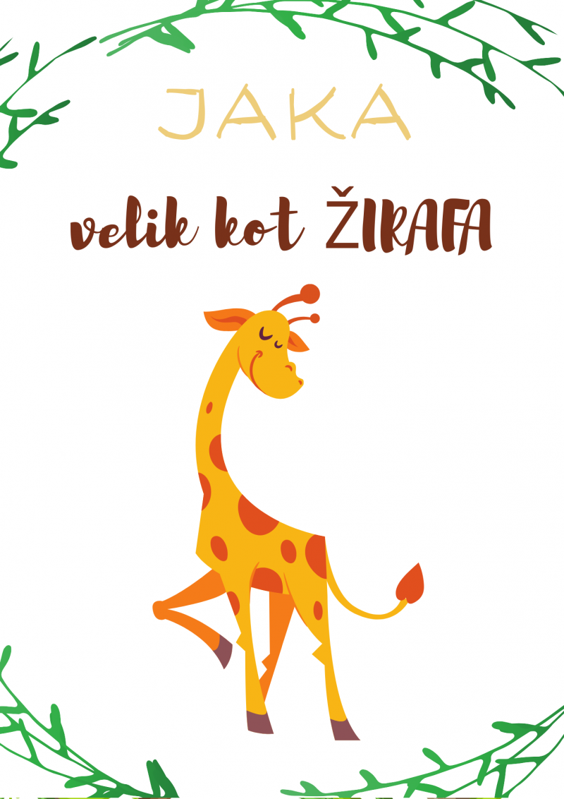 velik kot žirafa