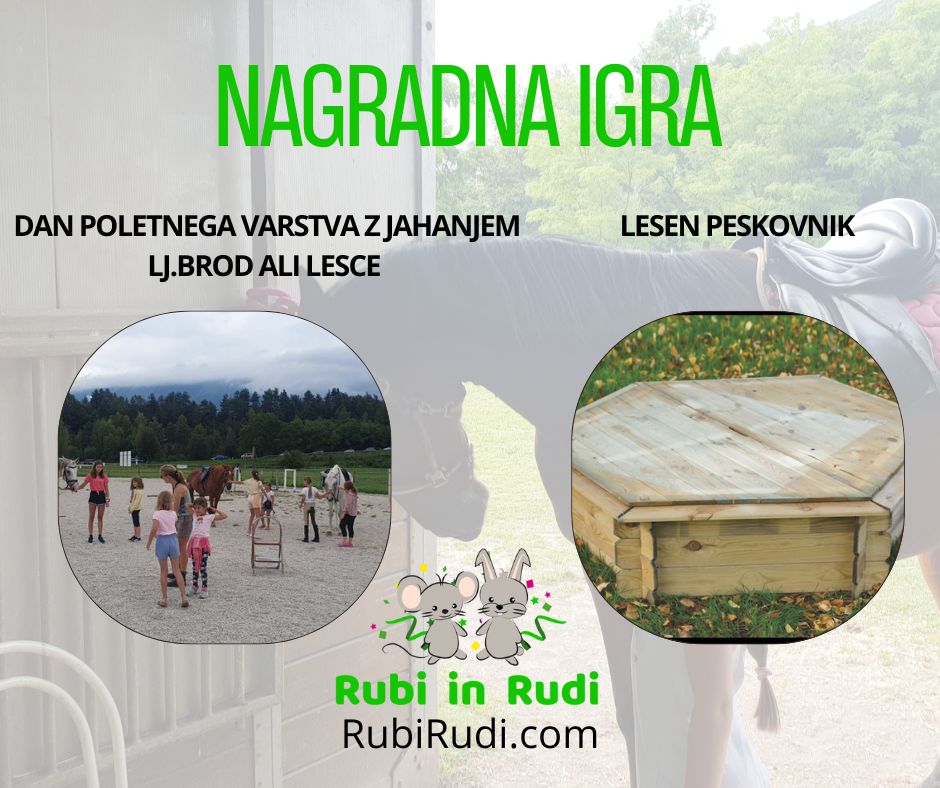 Read more about the article Poletna nagrada igra