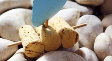 Read more about the article Čolnički iz plute