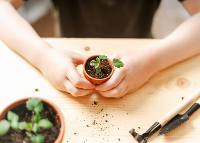 vrtnarjenje z otroki